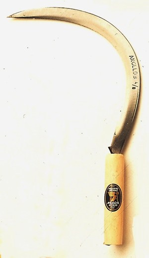 FALCIOLA CEREALI DENTATA 4/0 CM. 30 ANGELO BERGAMASCO AFFILATA A MANO